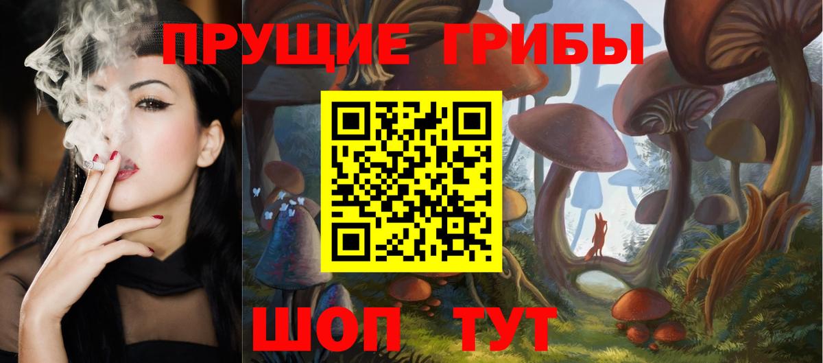 Галлюциногенные грибы Cubensis  Псилоцибиновые грибы мицелий  где продают наркотики  Вход с VPN  Моздок 